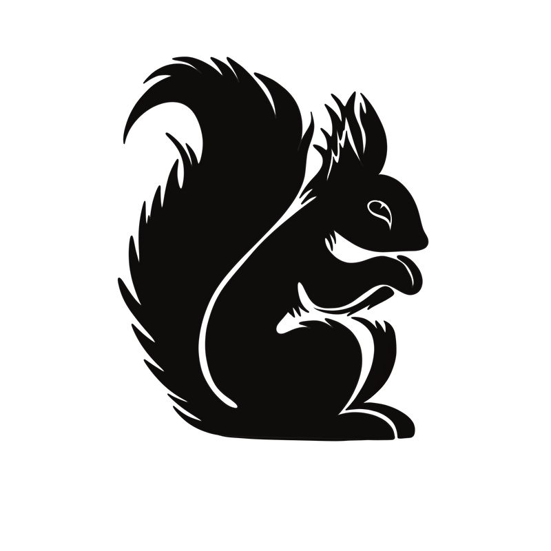 Black Squirrel Clothing